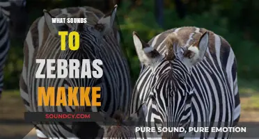 Decoding Zebra Communication: Exploring the Unique Sounds Zebras Make