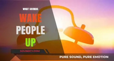 Alarms, Nature, or Noises: What Sounds Actually Wake You Up?