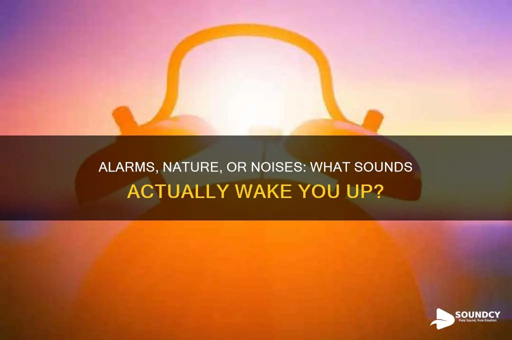 what sounds wake people up