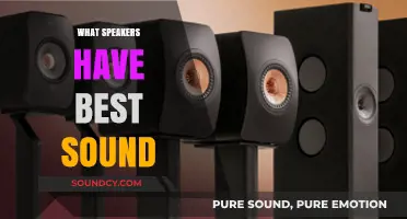 Discover the Top Speakers Delivering Exceptional Sound Quality Today