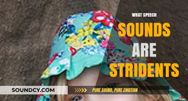 Understanding Strident Speech Sounds: Definition, Examples, and Articulation Insights