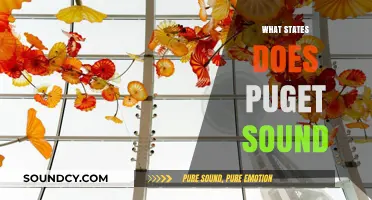 Exploring Puget Sound: Which Washington State Regions Does It Touch?