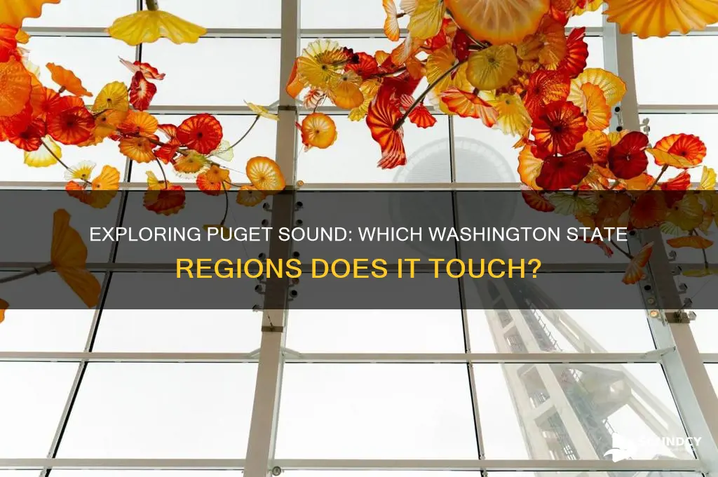 what states does puget sound