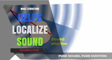 How the Cochlea's Structure Enables Precise Sound Localization in Humans