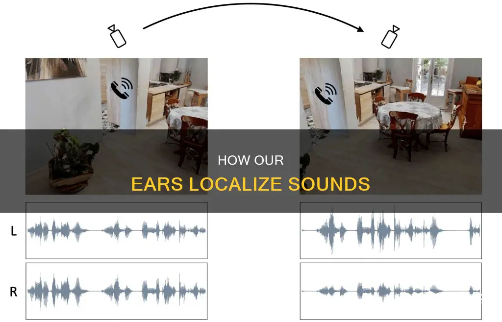 what structure helps us localize sound