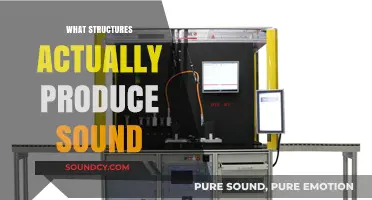 Unveiling the Hidden Mechanisms Behind Sound Production in Nature