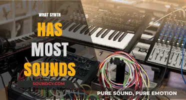 Exploring the Synth with the Largest Sound Library: A Comprehensive Guide
