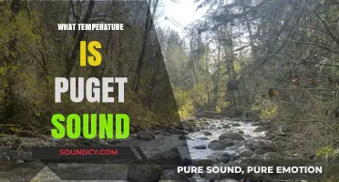 Exploring Puget Sound's Water Temperature: A Seasonal Guide
