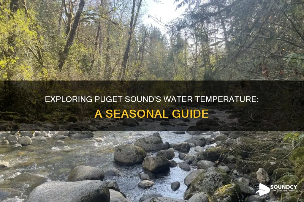 what temperature is puget sound