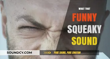 Unraveling the Mystery: What Causes That Funny Squeaky Sound?
