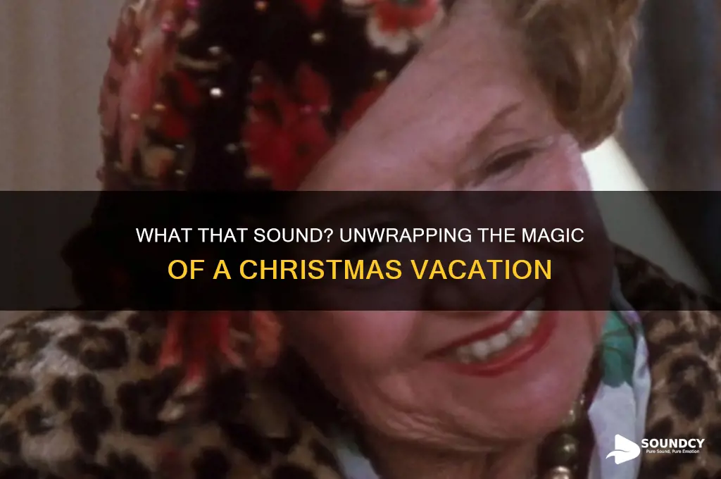 what that sound christmas vacation