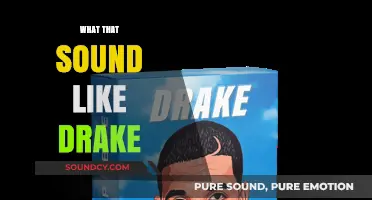 Decoding Drake's Signature Sound: A Deep Dive into His Unique Style