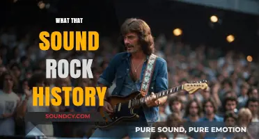 Unraveling the Echoes: A Journey Through Rock's Sonic Evolution