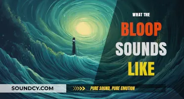 Unraveling the Mystery: What Does the Elusive Bloop Sound Like?