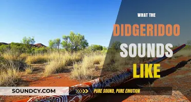 Unveiling the Unique, Haunting, and Vibrant Sounds of the Didgeridoo