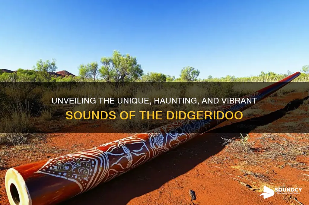 what the didgeridoo sounds like