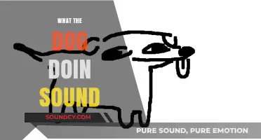 Decoding the Viral 'What the Dog Doin' Sound: Origins and Memes