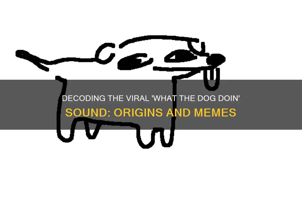 what the dog doin sound