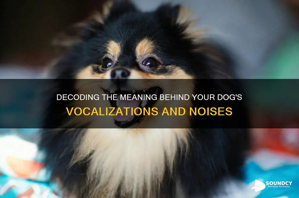 what the dog doing sound