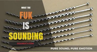 What the Fuk is Sounding? Unveiling the Controversial Sexual Practice