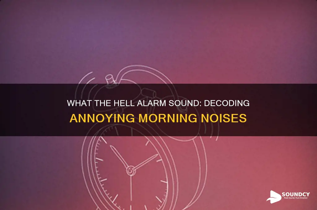 what the hell alarm sound