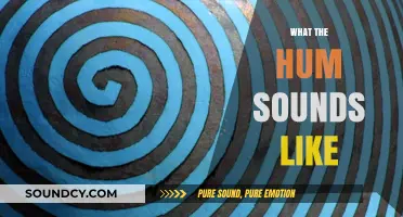 Unveiling the Mystery: What Does the Elusive Hum Sound Like?