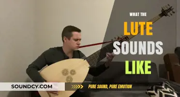 Discover the Enchanting, Timeless Sound of the Lute's Melodies