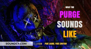 The Haunting Symphony: What the Purge Sounds Like in Reality