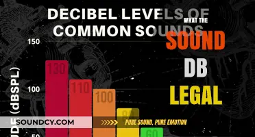 Understanding Legal Sound Decibel Limits: What's Permissible and Why It Matters