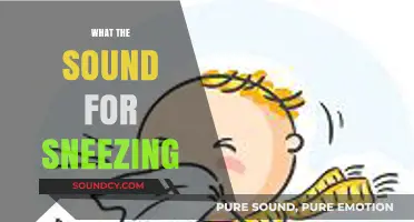 Understanding the Science and Sounds Behind Human Sneezing