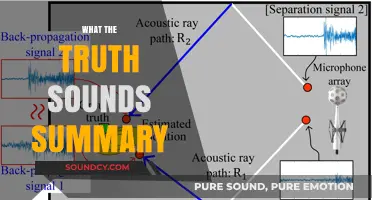 Unveiling the Truth: A Concise Summary of What It Sounds Like
