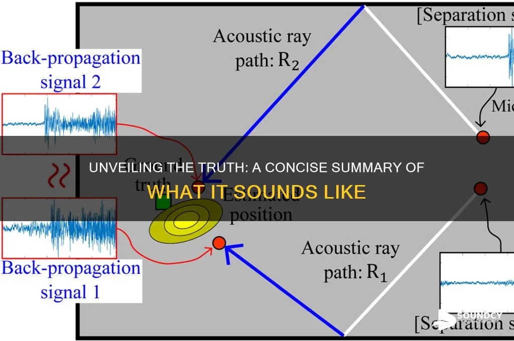 what the truth sounds summary