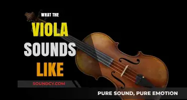 Discover the Rich, Warm, and Versatile Sound of the Viola