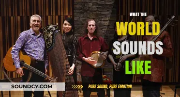 Exploring the Global Symphony: What the World Sounds Like to Us
