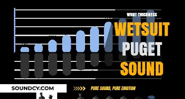 Choosing the Right Wetsuit Thickness for Puget Sound Adventures