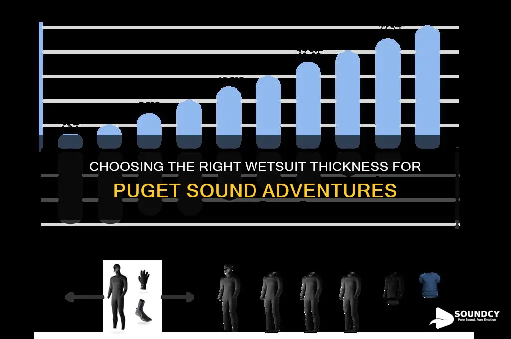 what thickness wetsuit puget sound