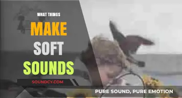 Exploring Gentle Noises: What Things Make Soft Sounds Around Us?