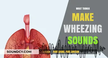 Uncovering the Causes: What Triggers Wheezing Sounds in Lungs