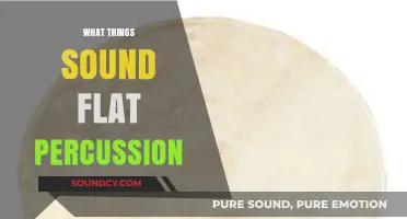 Exploring Flat Percussion: Instruments and Techniques for a Unique Sound