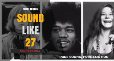 Unveiling the Unique Sounds of Turning 27: A Sonic Journey