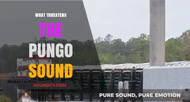 Threats to Pungo Sound: Environmental Challenges and Conservation Efforts