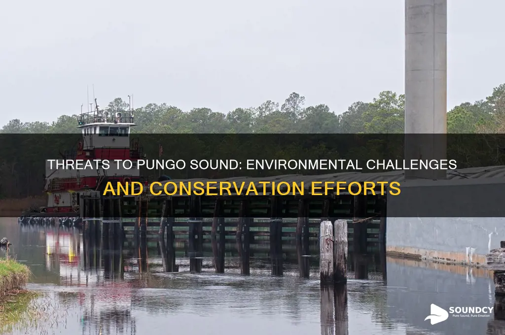 what threatens the pungo sound