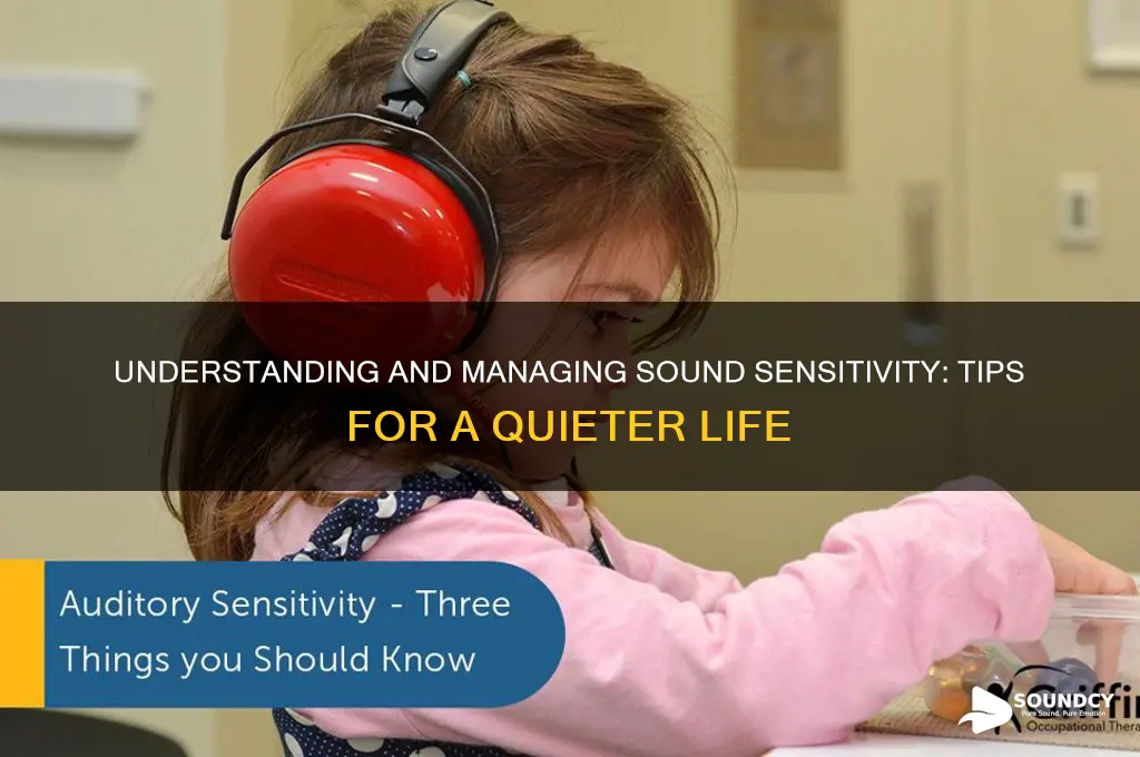 what to about sound sensitivity