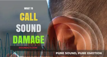 Understanding Sound-Induced Hearing Impairment: What to Call Sound Damage