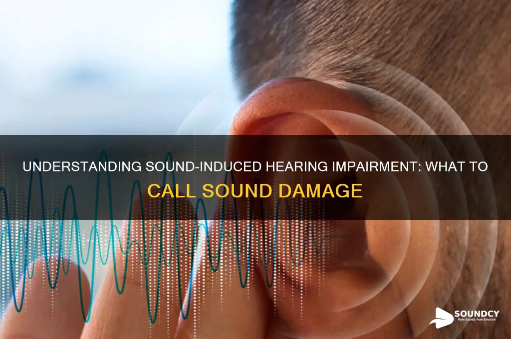 what to call sound damage