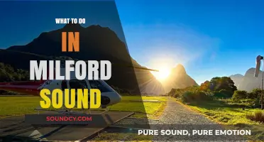 Exploring Milford Sound: Activities and Adventures