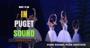 Explore Puget Sound: Activities and Adventures