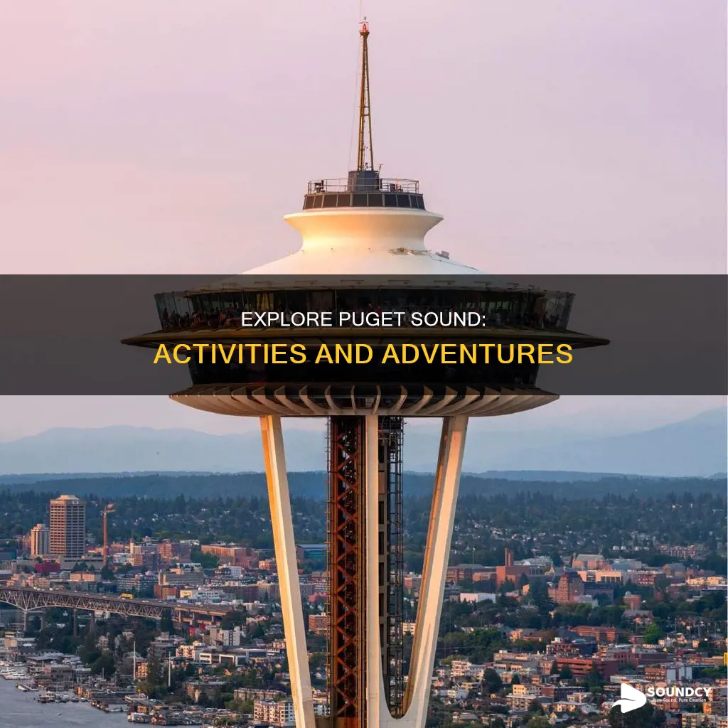 what to do in puget sound