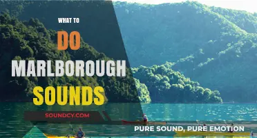 Explore Marlborough Sounds: Top Activities, Hidden Gems, and Adventure Tips