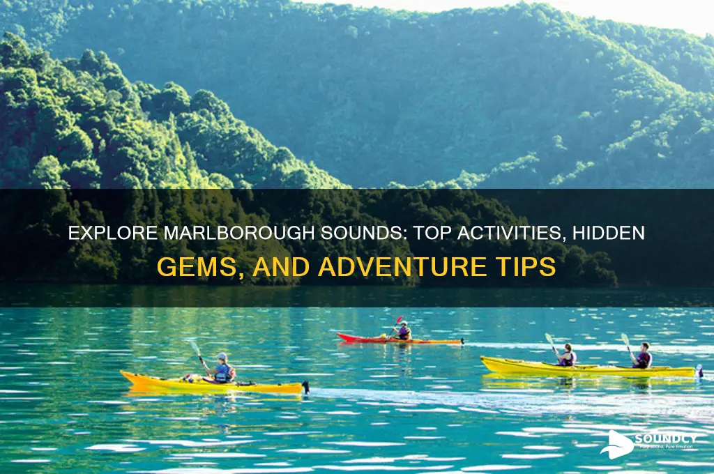 what to do marlborough sounds